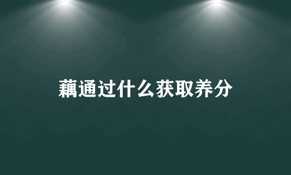 藕通过什么获取养分