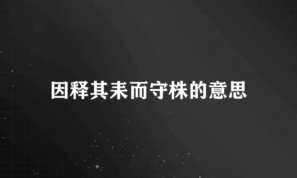 因释其耒而守株的意思