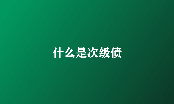 什么是次级债