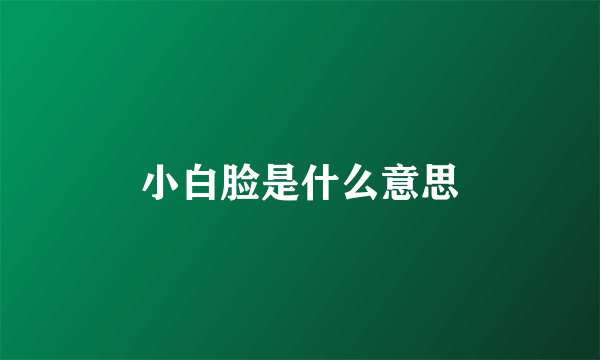 小白脸是什么意思