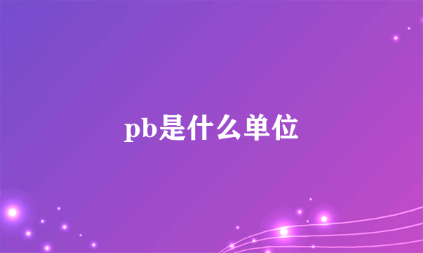 pb是什么单位