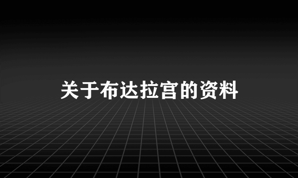 关于布达拉宫的资料