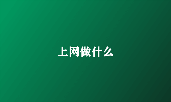 上网做什么