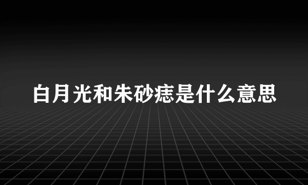 白月光和朱砂痣是什么意思