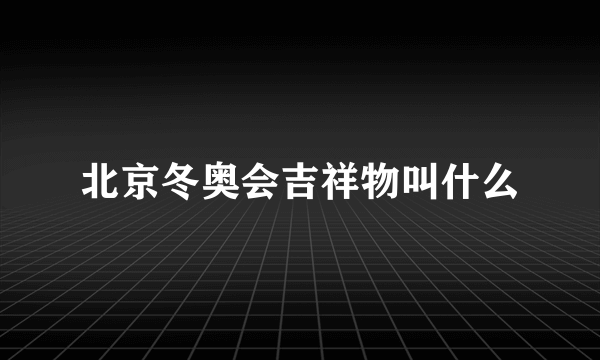 北京冬奥会吉祥物叫什么