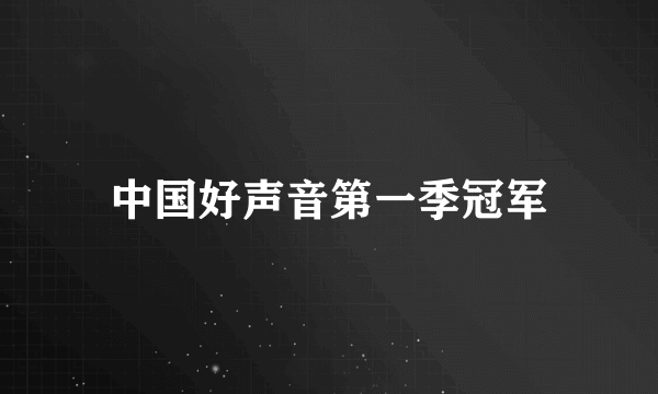 中国好声音第一季冠军