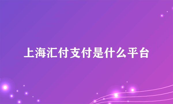 上海汇付支付是什么平台