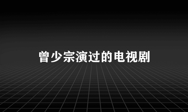 曾少宗演过的电视剧