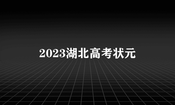 2023湖北高考状元