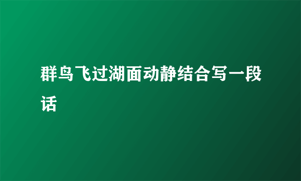 群鸟飞过湖面动静结合写一段话