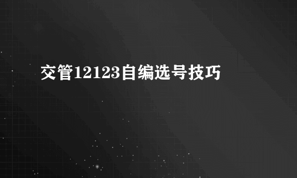 交管12123自编选号技巧