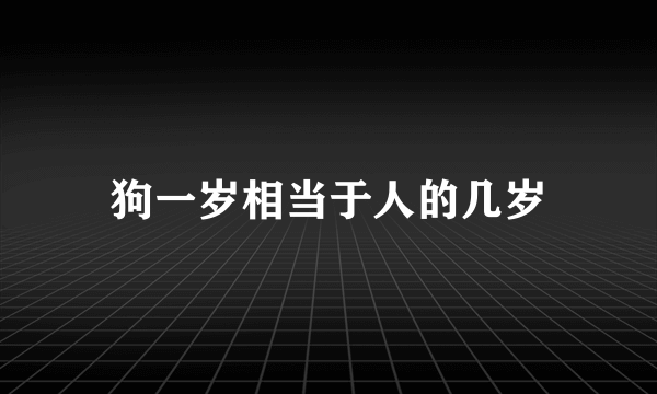 狗一岁相当于人的几岁