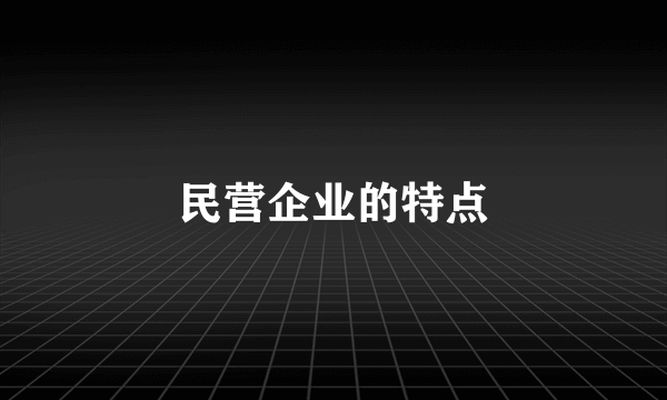 民营企业的特点