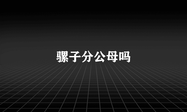 骡子分公母吗