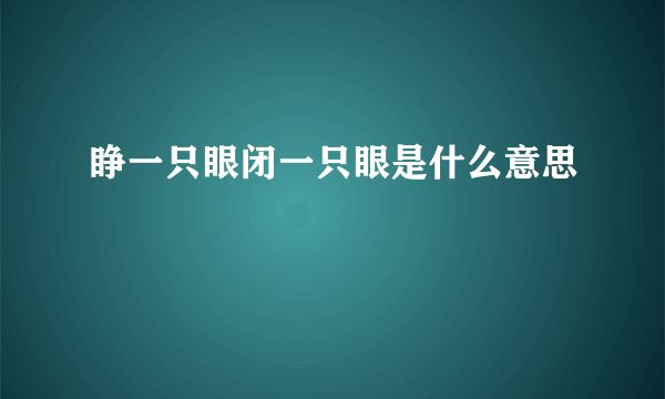 睁一只眼闭一只眼是什么意思