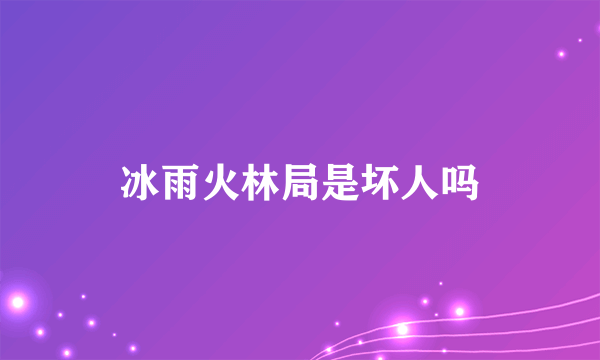 冰雨火林局是坏人吗