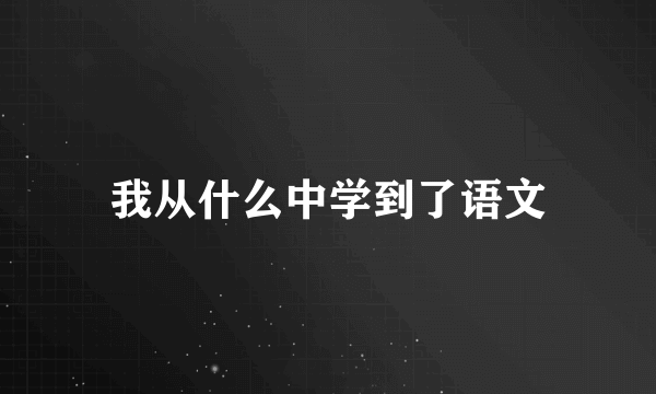 我从什么中学到了语文