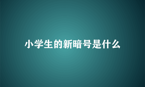 小学生的新暗号是什么