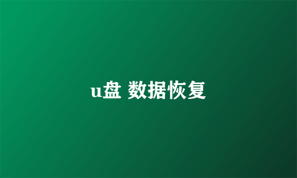 u盘 数据恢复