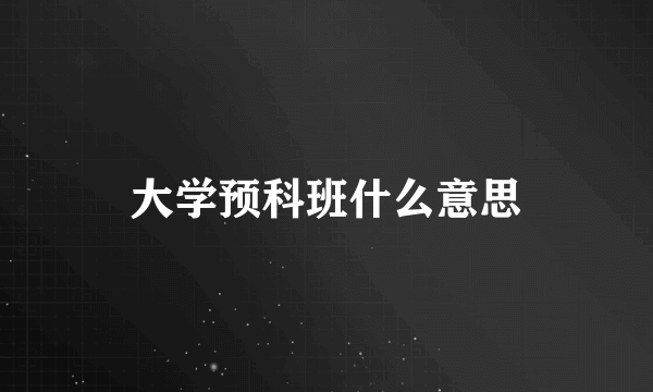 大学预科班什么意思