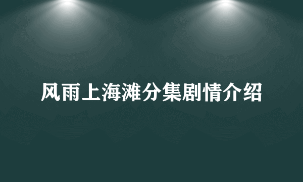 风雨上海滩分集剧情介绍