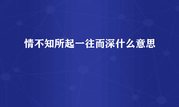 情不知所起一往而深什么意思