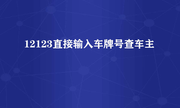 12123直接输入车牌号查车主