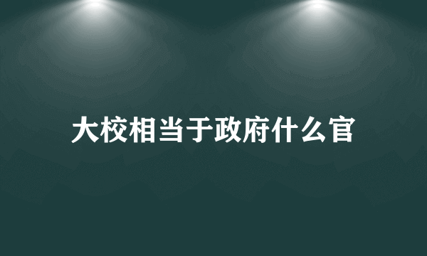 大校相当于政府什么官