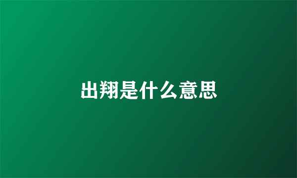 出翔是什么意思