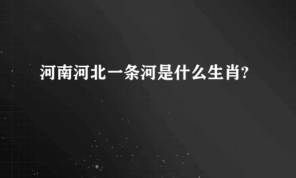 河南河北一条河是什么生肖?