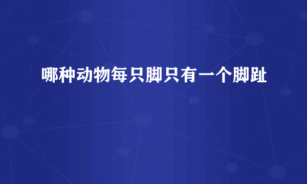 哪种动物每只脚只有一个脚趾