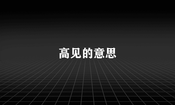 高见的意思