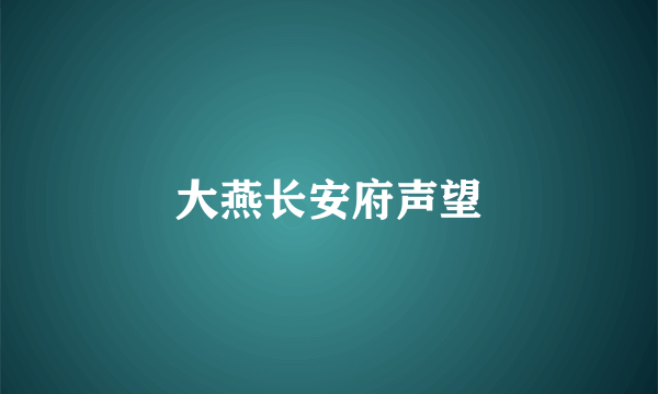 大燕长安府声望