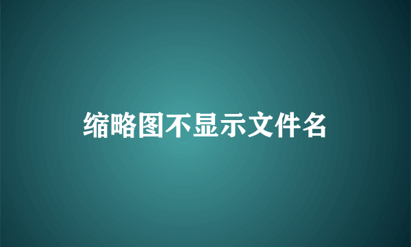 缩略图不显示文件名