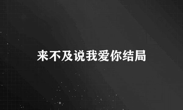 来不及说我爱你结局