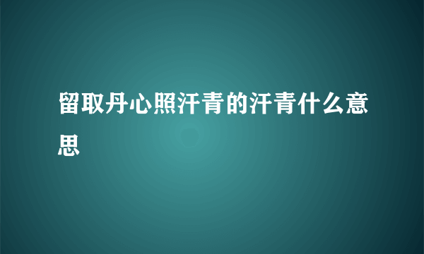 留取丹心照汗青的汗青什么意思