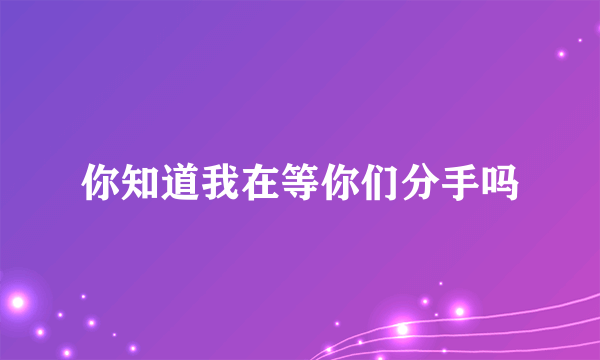 你知道我在等你们分手吗