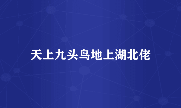 天上九头鸟地上湖北佬