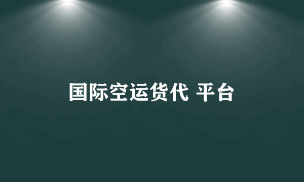 国际空运货代 平台