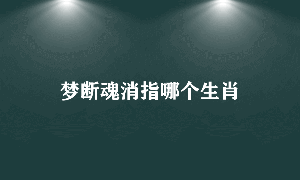 梦断魂消指哪个生肖