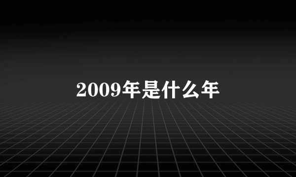 2009年是什么年