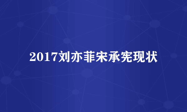 2017刘亦菲宋承宪现状