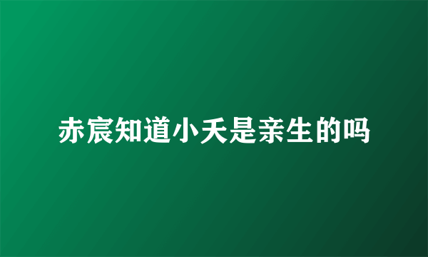 赤宸知道小夭是亲生的吗