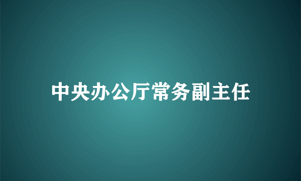 中央办公厅常务副主任