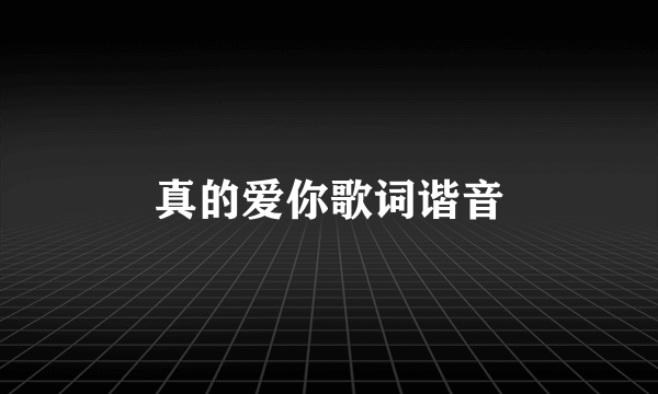 真的爱你歌词谐音