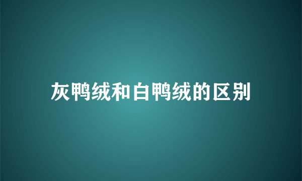 灰鸭绒和白鸭绒的区别