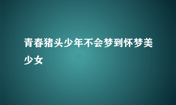 青春猪头少年不会梦到怀梦美少女