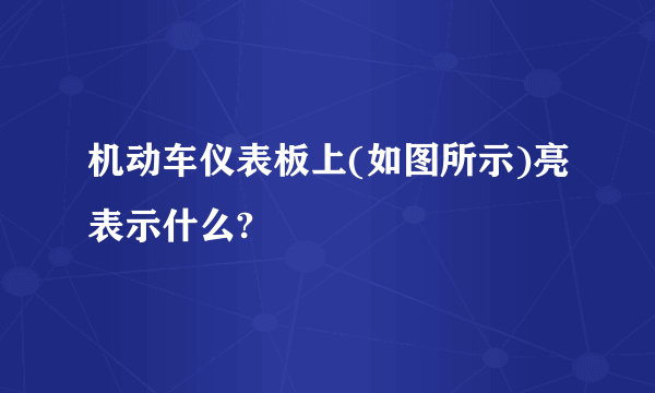 机动车仪表板上(如图所示)亮表示什么?