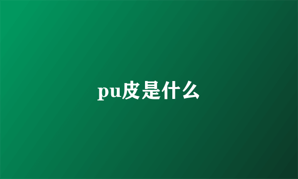 pu皮是什么