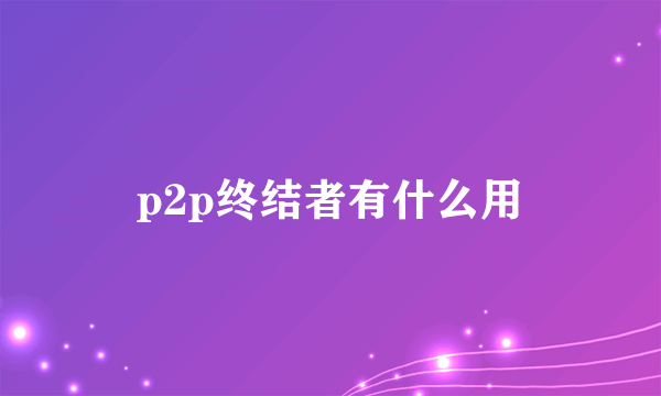 p2p终结者有什么用